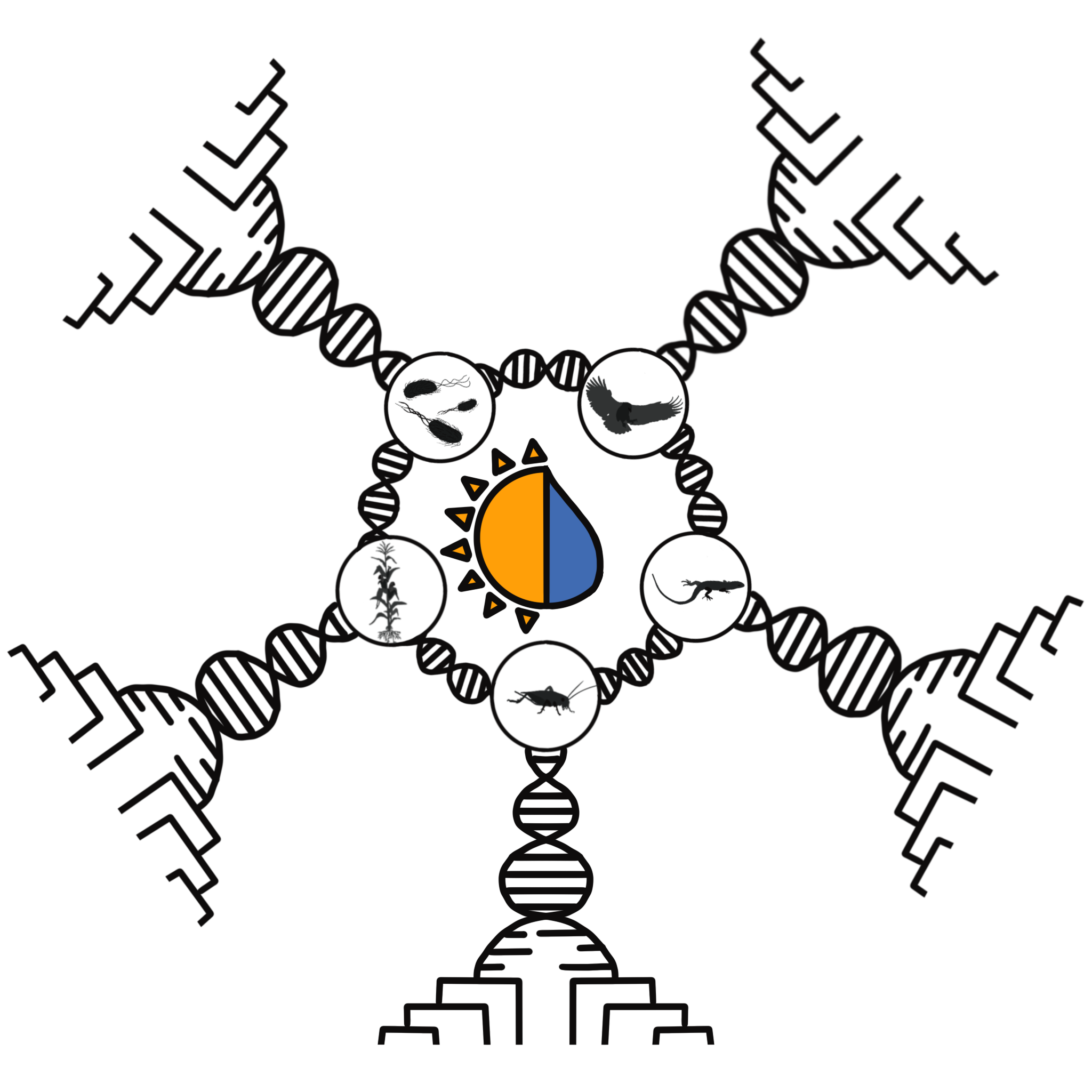 AniMEE Lab - Riccardo Piccinno