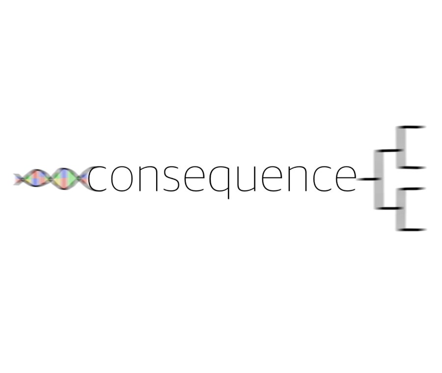 Descrizione immagine box