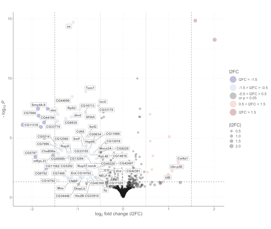 Descrizione immagine box