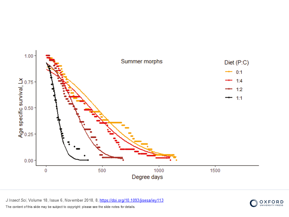 Descrizione immagine box