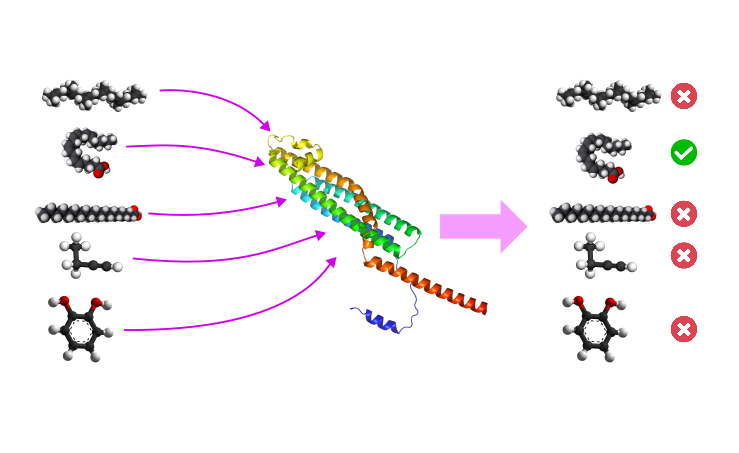 Descrizione immagine box