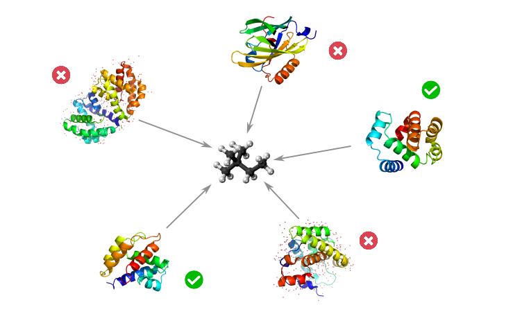 Descrizione immagine box